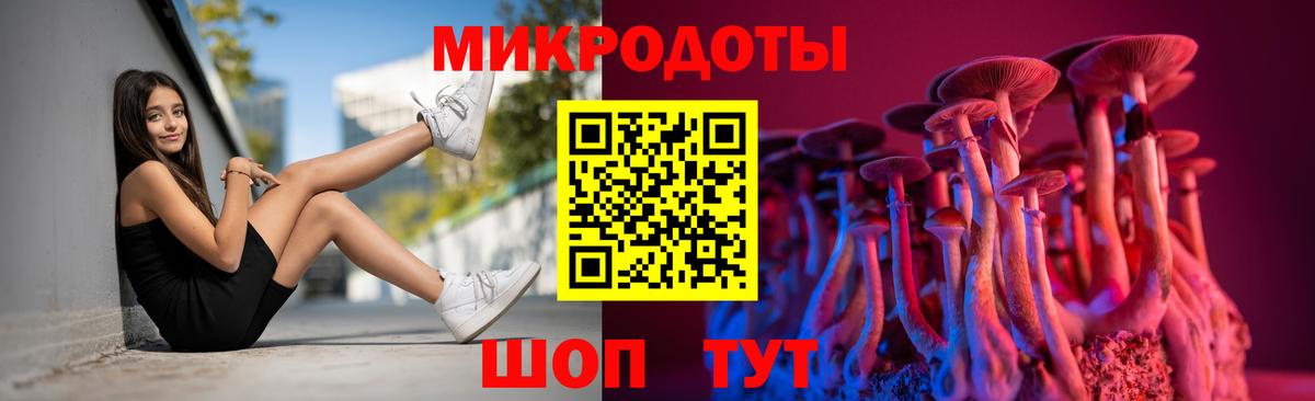 Псилоцибиновые грибы Cubensis Ливны
